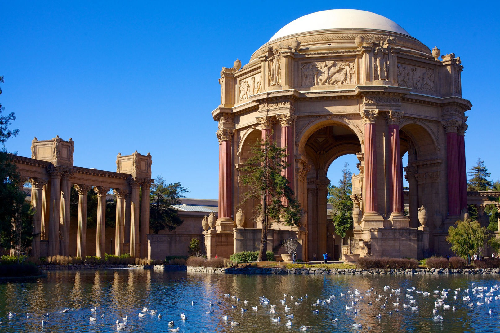 gay san fran